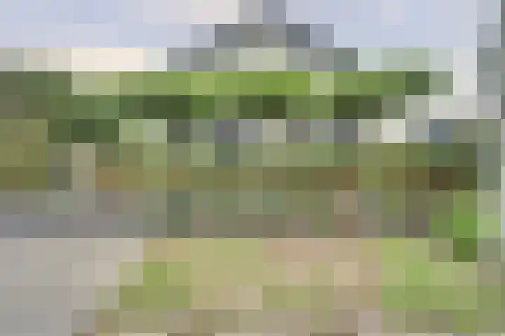Gantellaan 13 Monster thumbnail 58