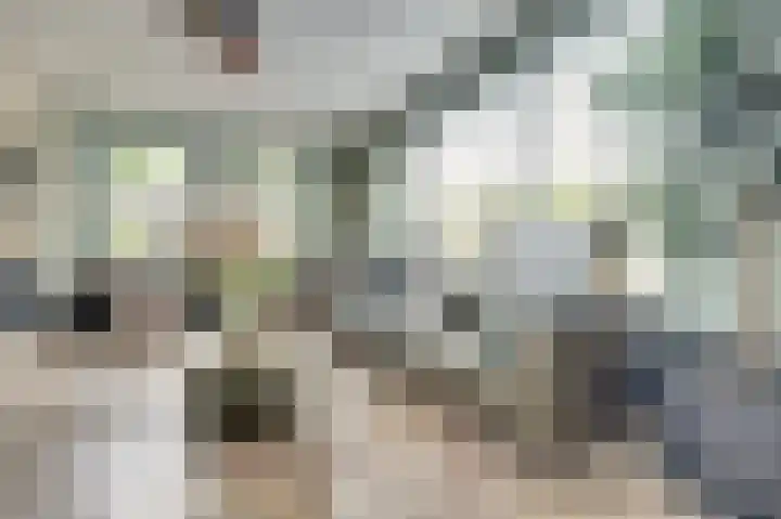 Gantellaan 13 Monster thumbnail 6