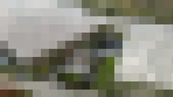 Gantellaan 13 Monster thumbnail 62