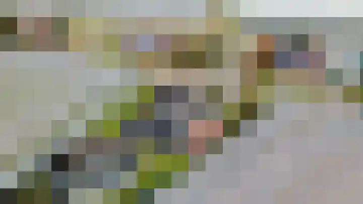 Gantellaan 13 Monster thumbnail 63