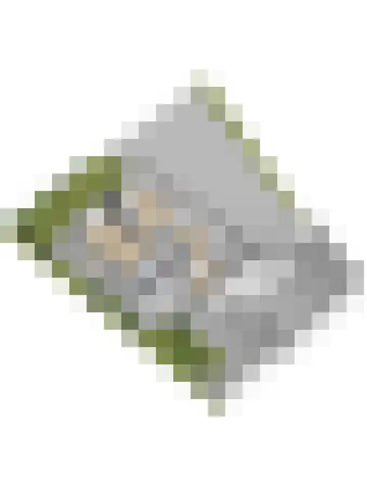 Gantellaan 13 Monster thumbnail 74
