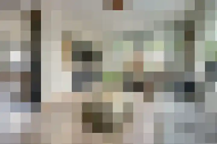 Gantellaan 13 Monster thumbnail 8