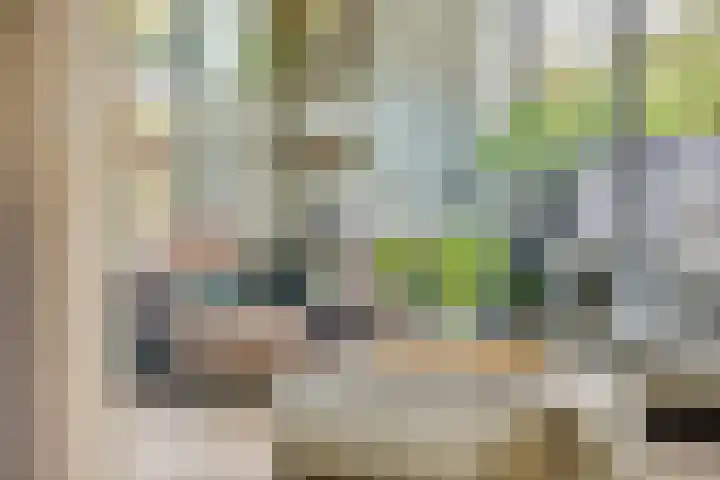 Gantellaan 13 Monster thumbnail 9
