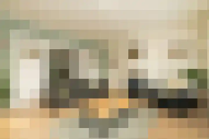 Gantellaan 28 Monster thumbnail 13