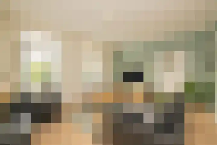 Gantellaan 28 Monster thumbnail 14