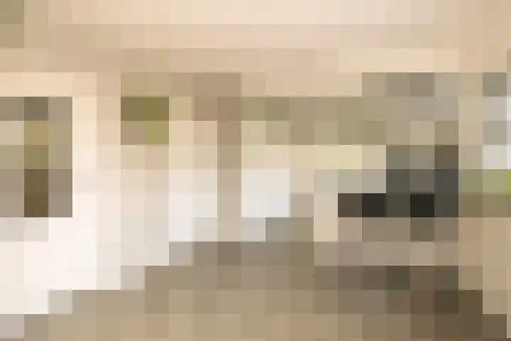 Gantellaan 28 Monster thumbnail 19