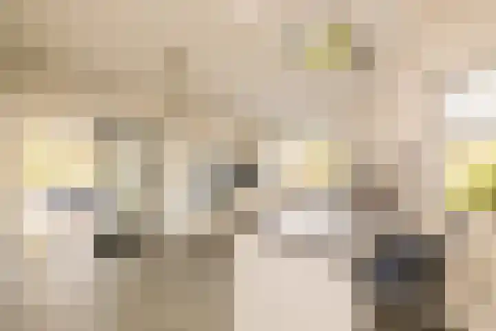Gantellaan 28 Monster thumbnail 20