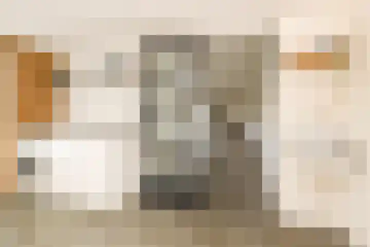 Gantellaan 28 Monster thumbnail 23