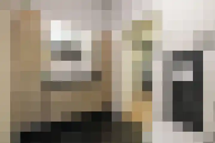 Gantellaan 28 Monster thumbnail 27