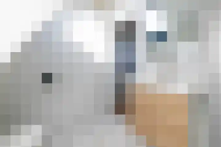Gantellaan 28 Monster thumbnail 34