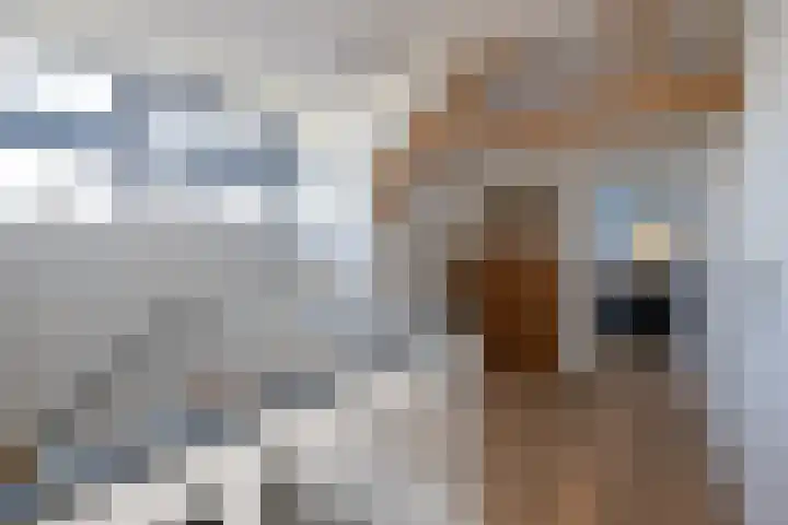 Gantellaan 28 Monster thumbnail 35