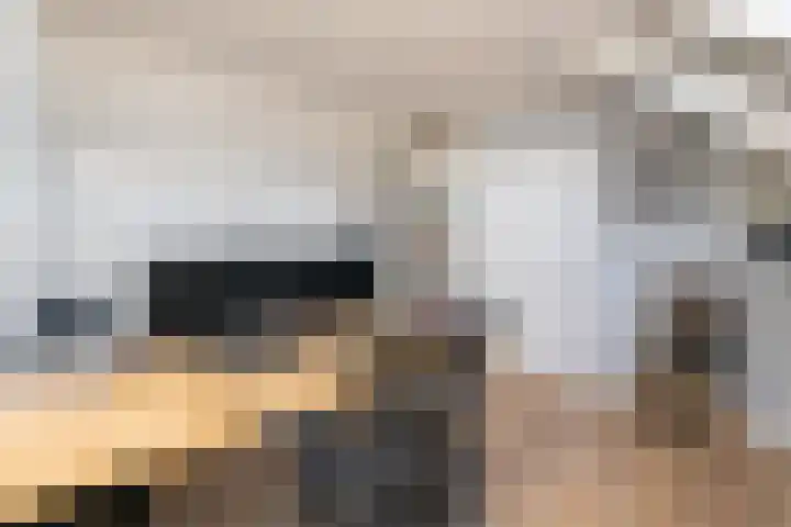Gantellaan 28 Monster thumbnail 37