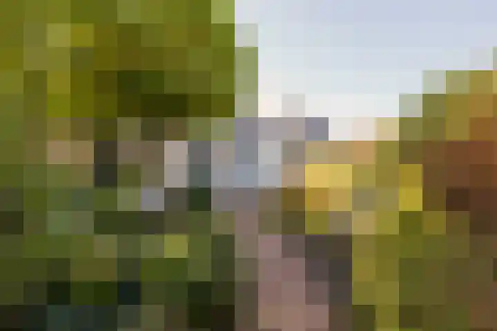 Gantellaan 28 Monster thumbnail 38