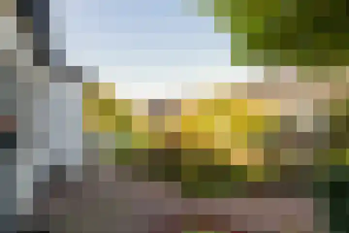 Gantellaan 28 Monster thumbnail 39