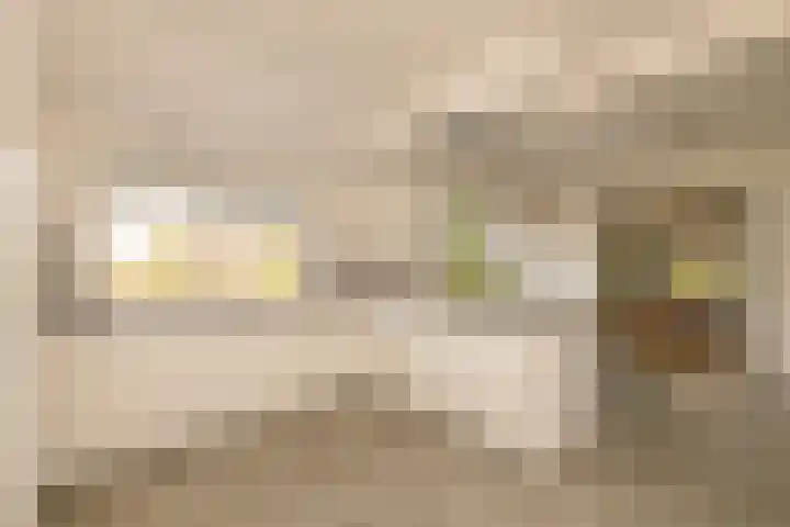 Gantellaan 28 Monster thumbnail 4