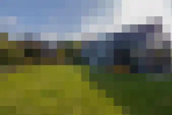 Gantellaan 28 Monster thumbnail 42