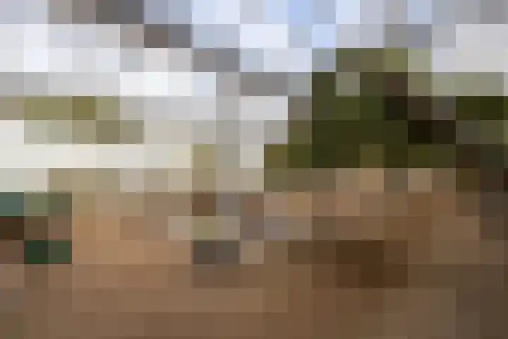 Gantellaan 28 Monster thumbnail 44