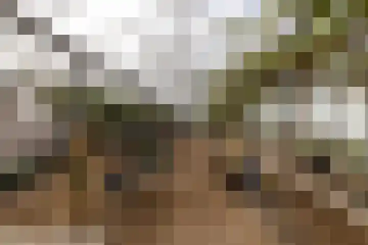 Gantellaan 28 Monster thumbnail 45