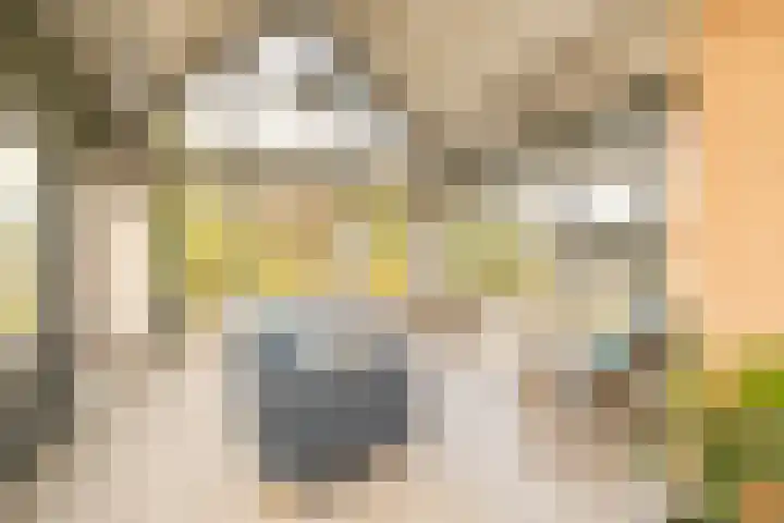 Gantellaan 28 Monster thumbnail 5