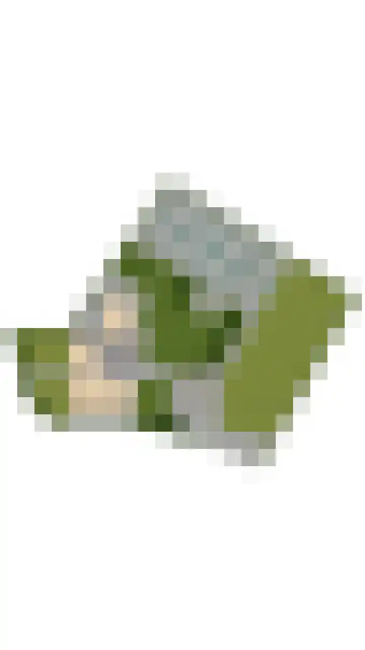 Gantellaan 28 Monster thumbnail 66