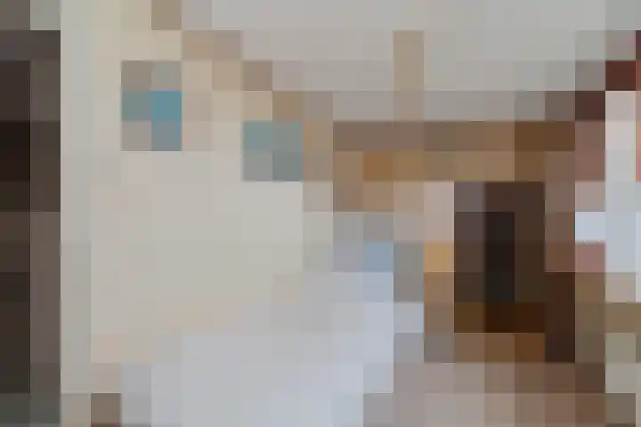 Gantellaan 29 Monster thumbnail 21