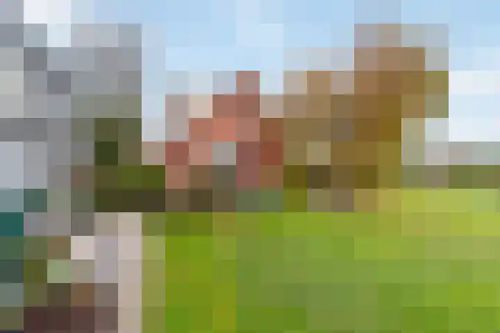 Gantellaan 29 Monster thumbnail 25