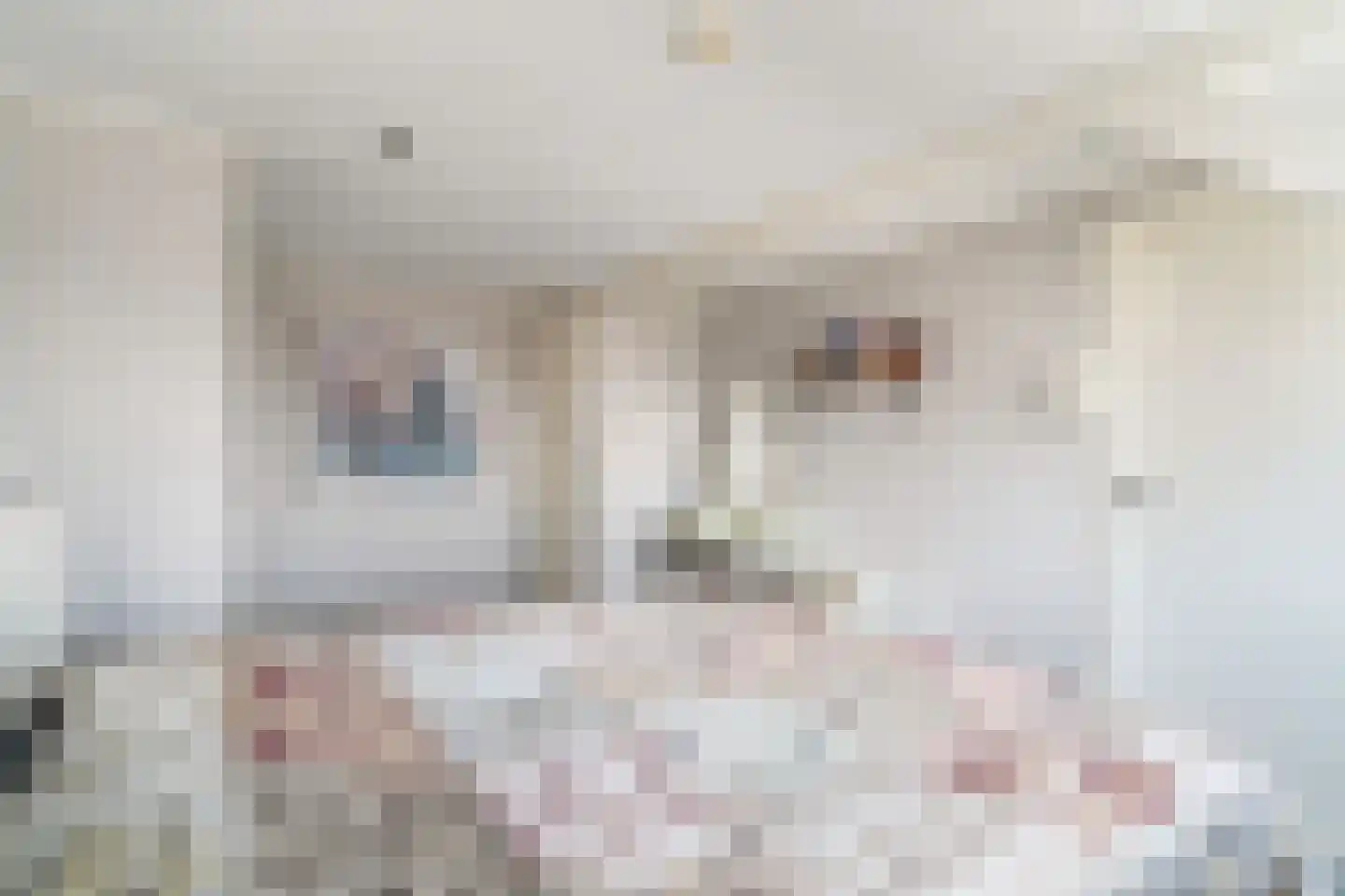 Gantellaan 3 Monster thumbnail 22