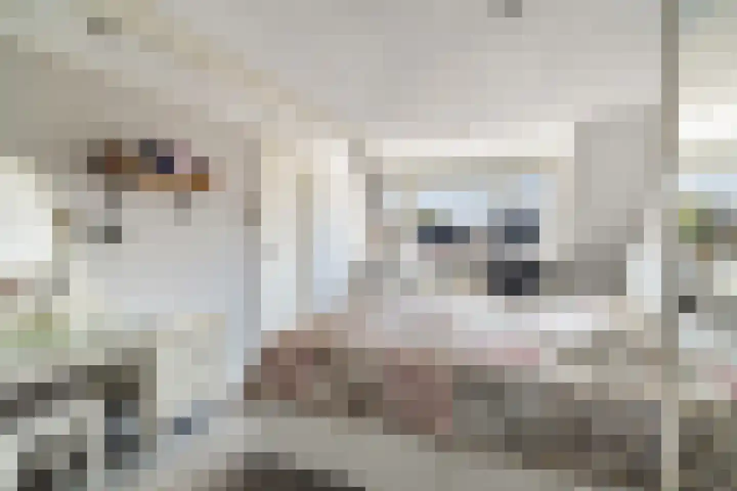 Gantellaan 3 Monster thumbnail 5