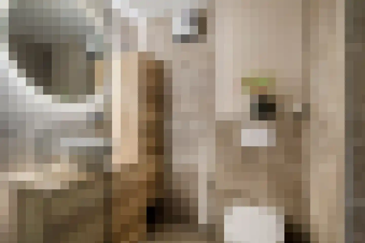 Gantvoort 19 Neede thumbnail 16