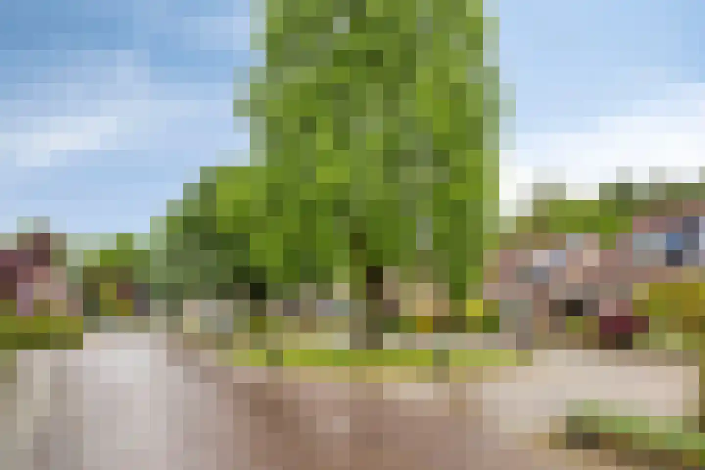 Gantvoort 19 Neede thumbnail 31