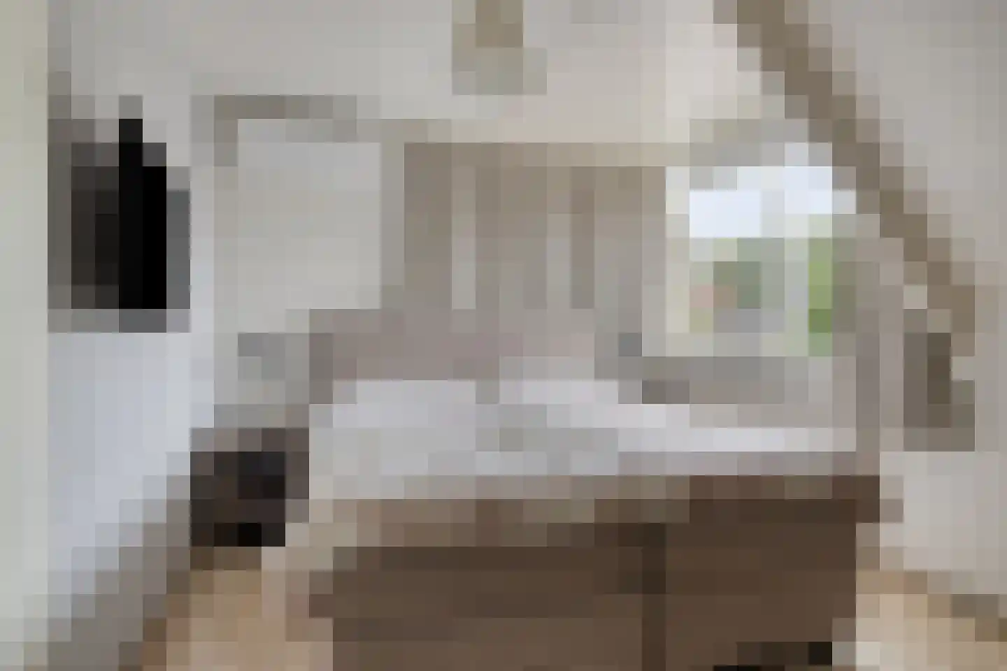 Gantvoort 40 Neede thumbnail 24