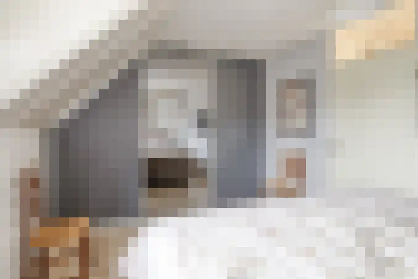 Gantvoort 40 Neede thumbnail 25