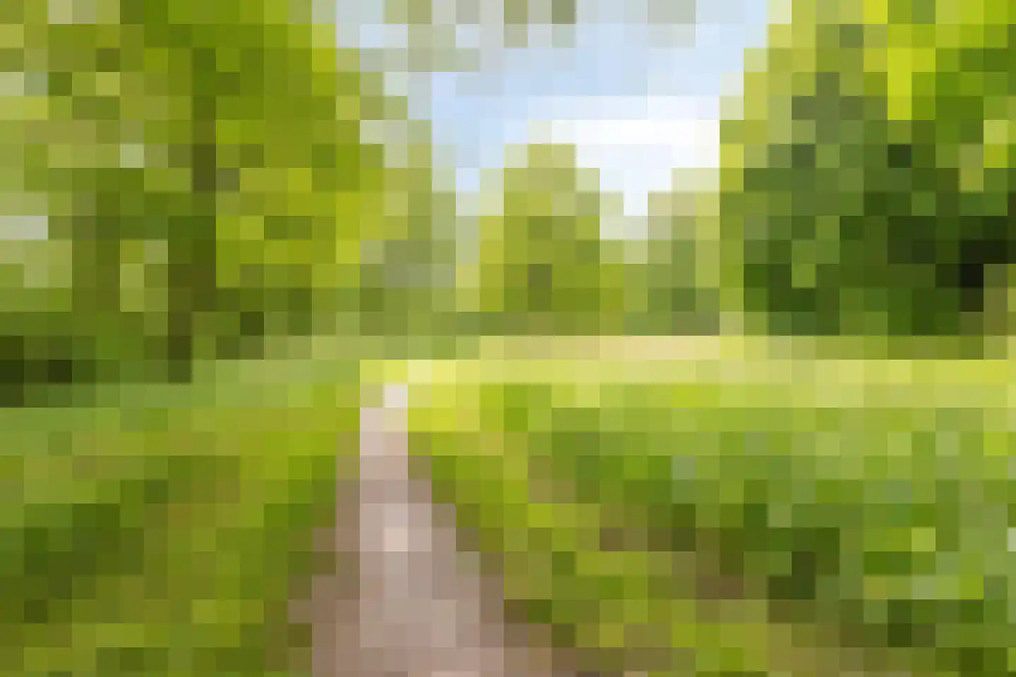 Gantvoort 40 Neede thumbnail 35