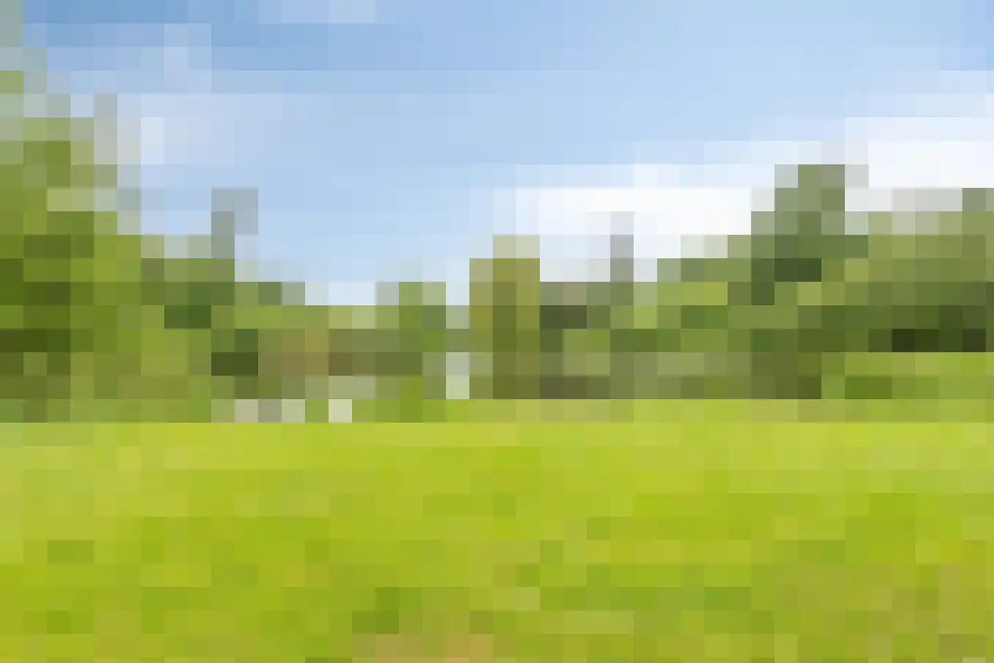 Gantvoort 40 Neede thumbnail 37