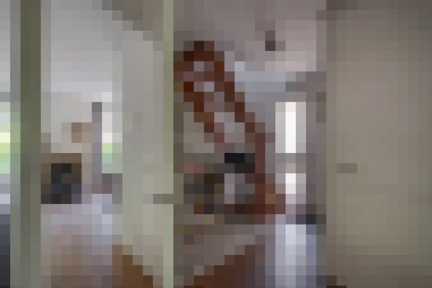 Gantvoort 49 Neede thumbnail 10