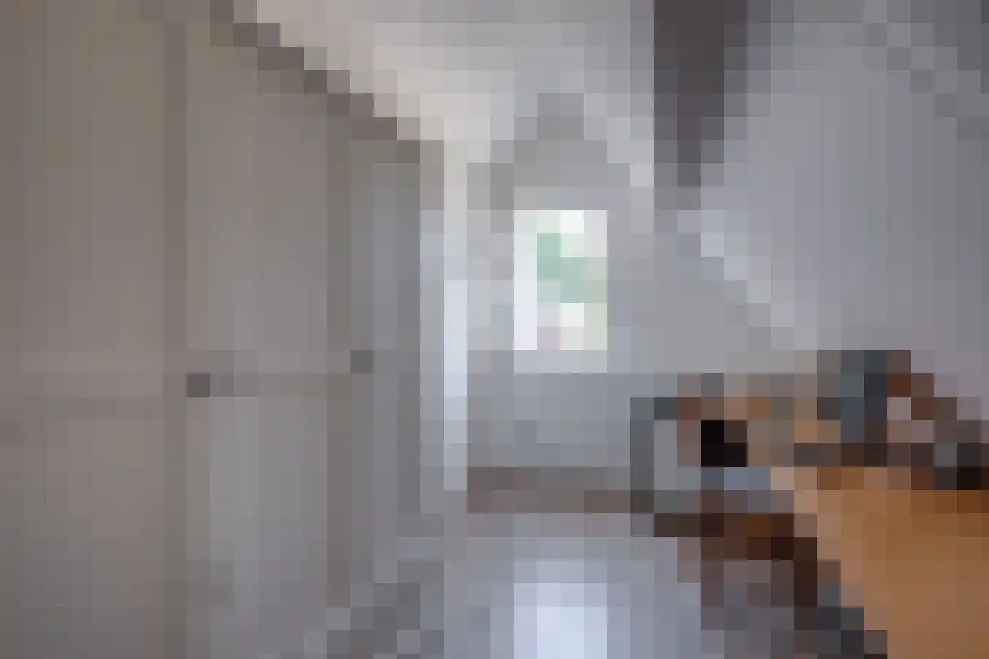 Gantvoort 49 Neede thumbnail 19