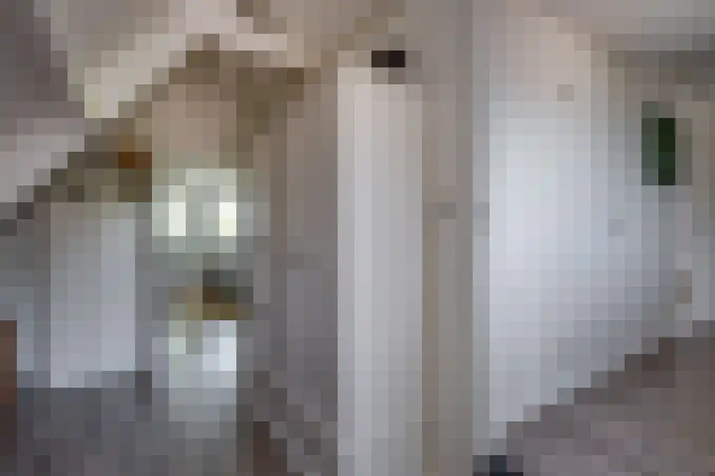 Gantvoort 49 Neede thumbnail 20