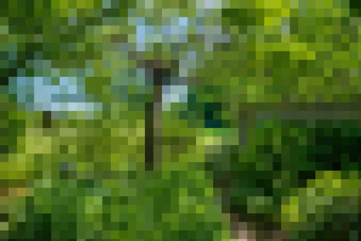 Gantvoort 49 Neede thumbnail 26