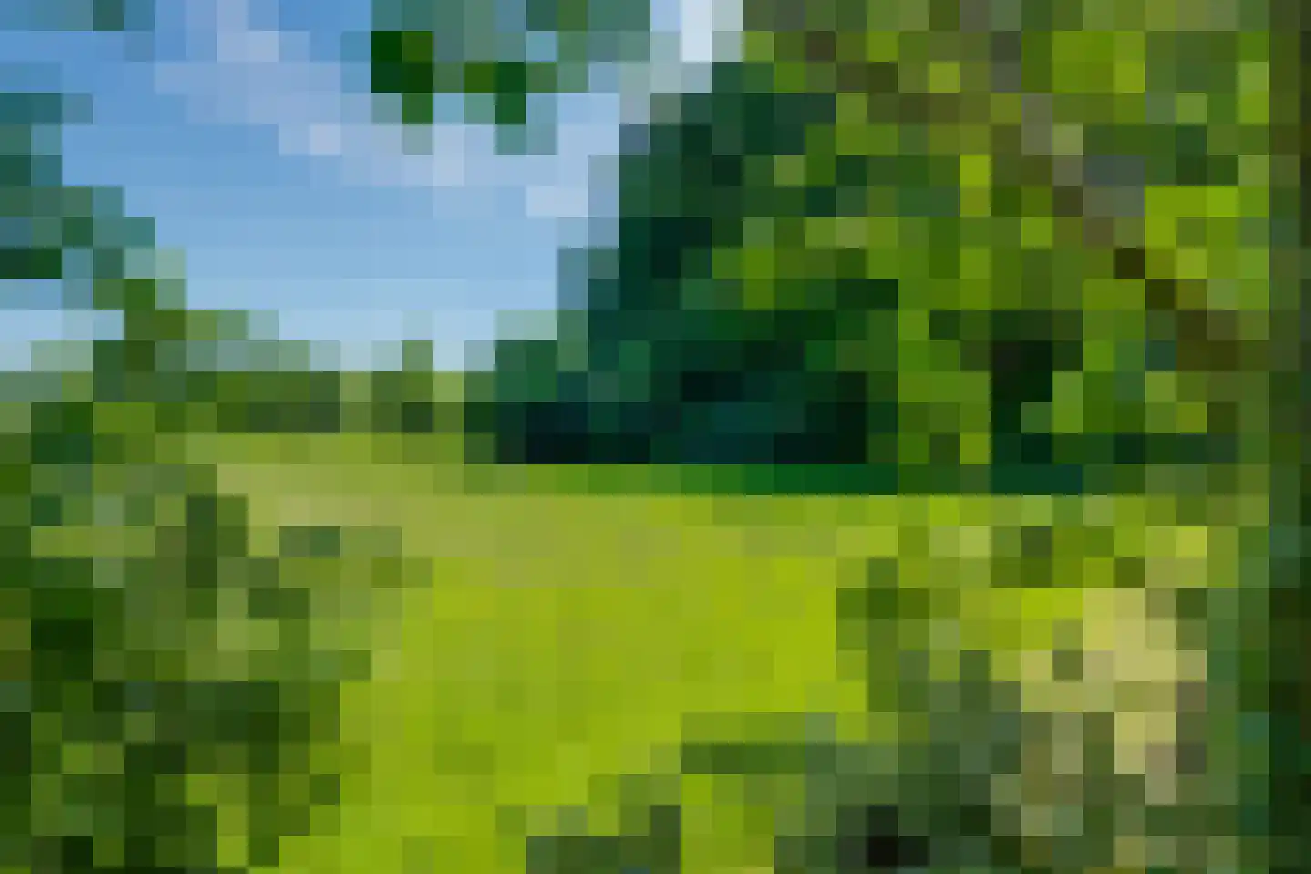 Gantvoort 49 Neede thumbnail 27