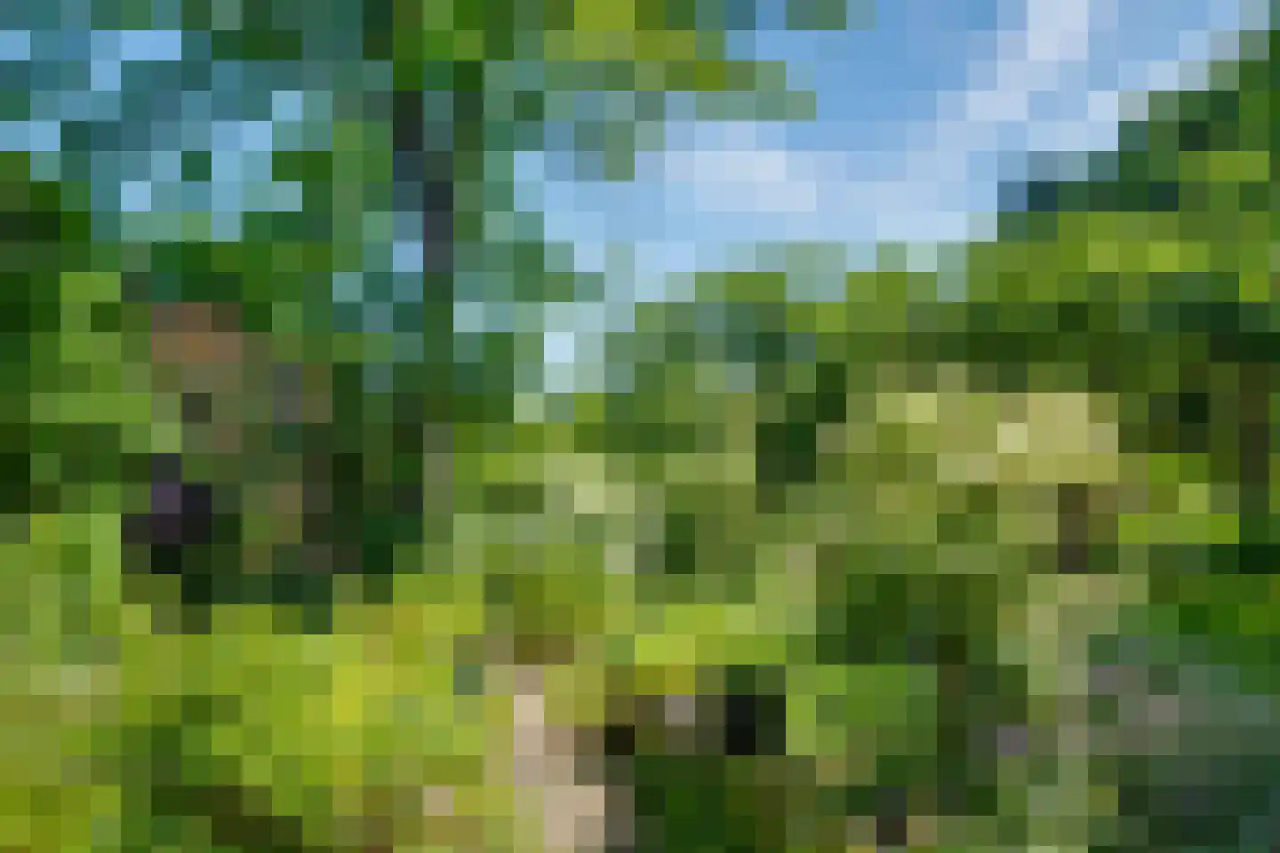 Gantvoort 49 Neede thumbnail 29
