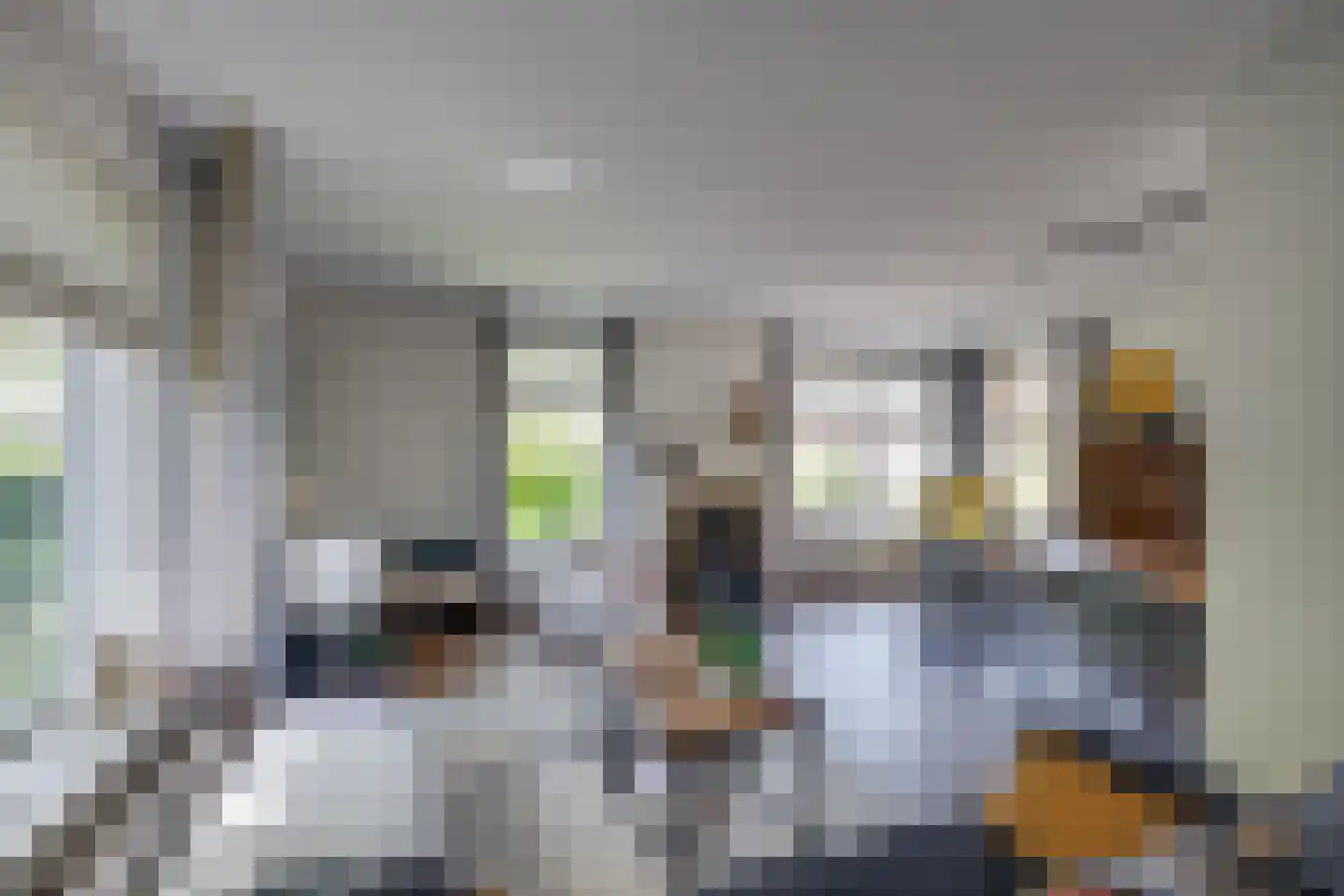 Gantvoort 49 Neede thumbnail 4