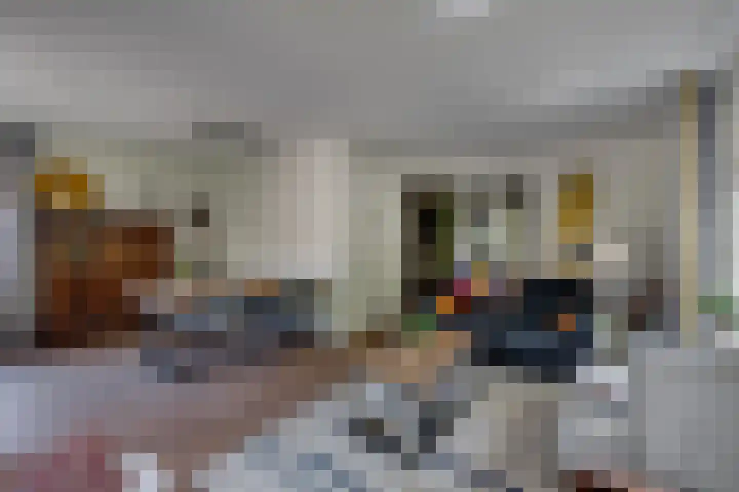 Gantvoort 49 Neede thumbnail 7