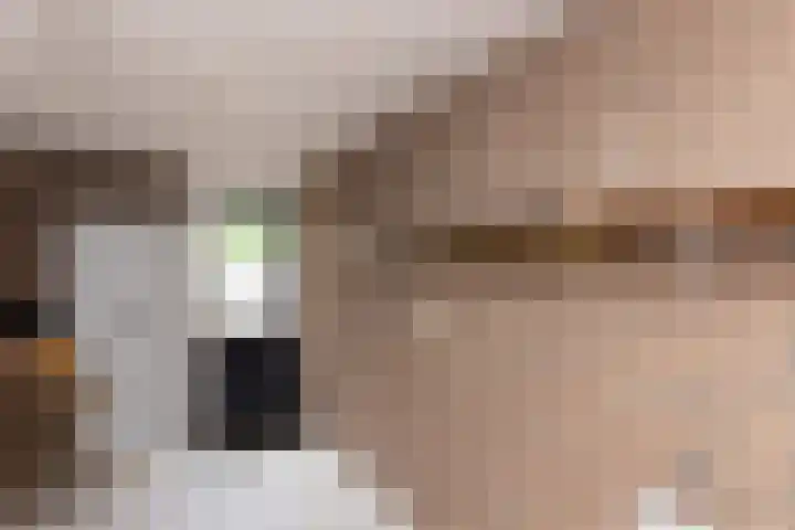 Gantvoort 5 Neede thumbnail 12