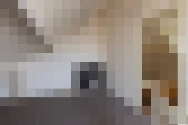 Gantvoort 5 Neede thumbnail 13