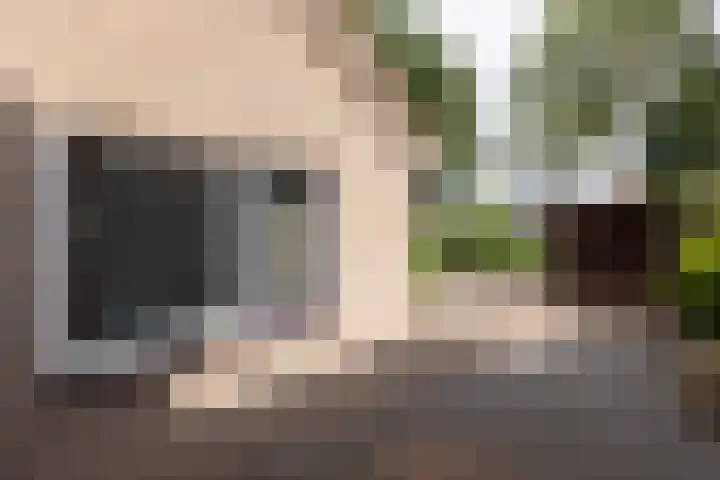 Gantvoort 5 Neede thumbnail 20