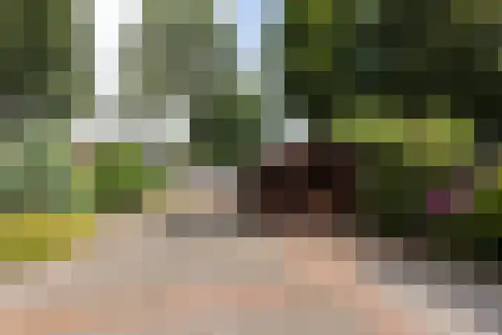 Gantvoort 5 Neede thumbnail 21