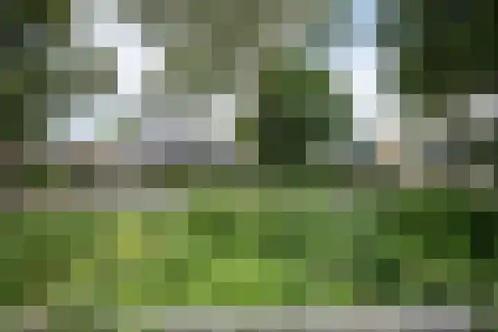 Gantvoort 5 Neede thumbnail 22