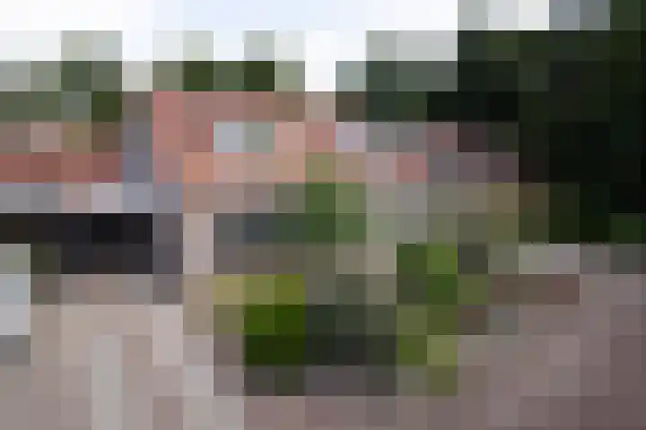 Gantvoort 5 Neede thumbnail 25
