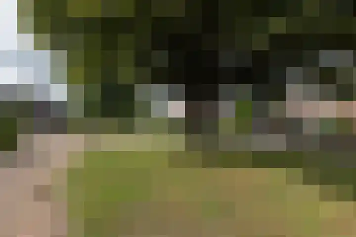 Gantvoort 5 Neede thumbnail 28