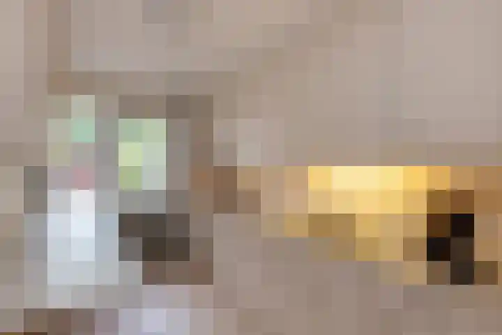 Gantvoort 5 Neede thumbnail 5